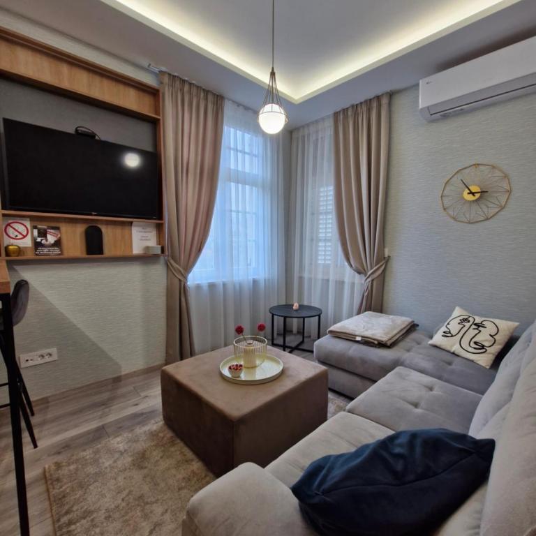 VIRTUS apartmani Vrnjačka Banja centar - Apartman sa 1 Spavaćom Sobom – Nepušački - 11