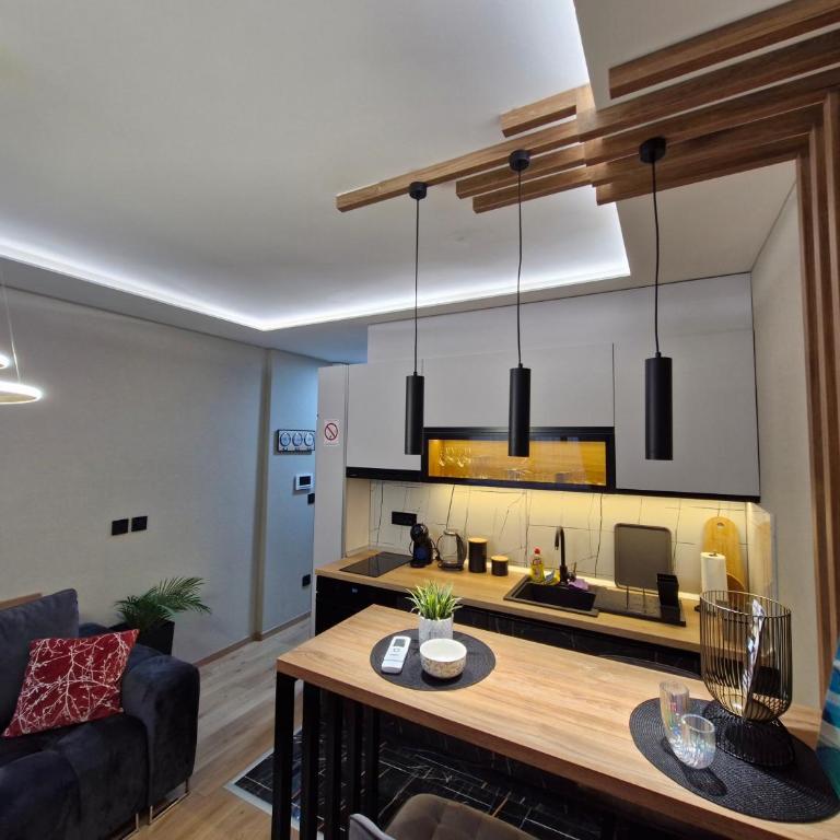 VIRTUS apartmani Vrnjačka Banja centar - Premium Apartman sa 1 Spavaćom Sobom - 23