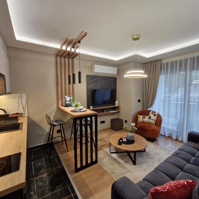 VIRTUS apartmani Vrnjačka Banja centar - Premium Apartman sa 1 Spavaćom Sobom - 10