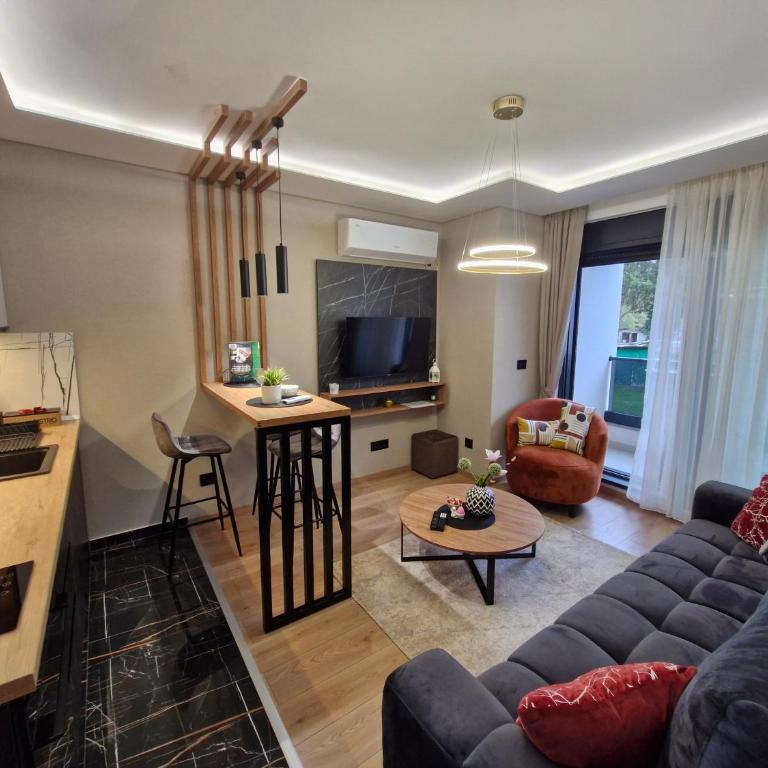VIRTUS apartmani Vrnjačka Banja centar - Premium Apartman sa 1 Spavaćom Sobom - 17