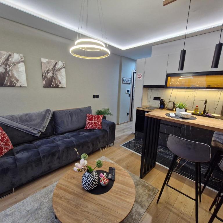 VIRTUS apartmani Vrnjačka Banja centar - Premium Apartman sa 1 Spavaćom Sobom - 9