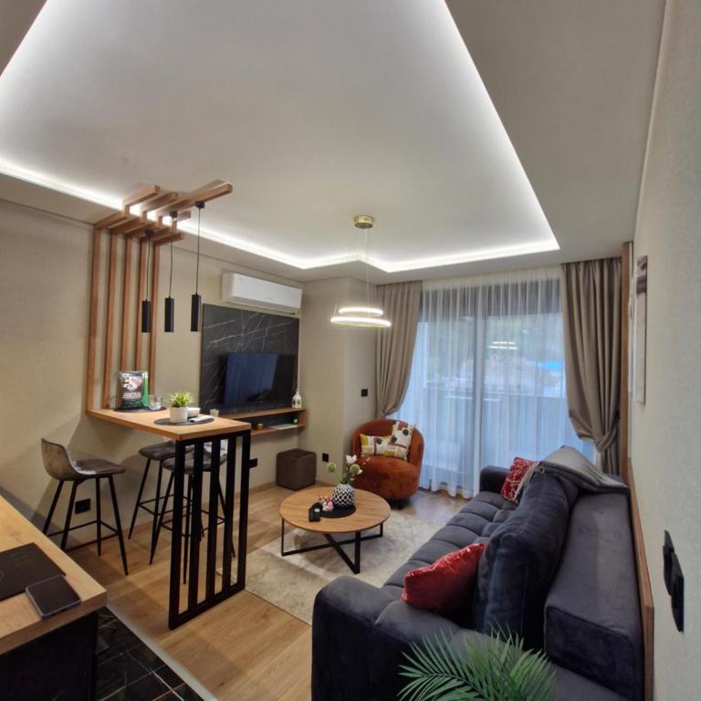 VIRTUS apartmani Vrnjačka Banja centar - Premium Apartman sa 1 Spavaćom Sobom - 7