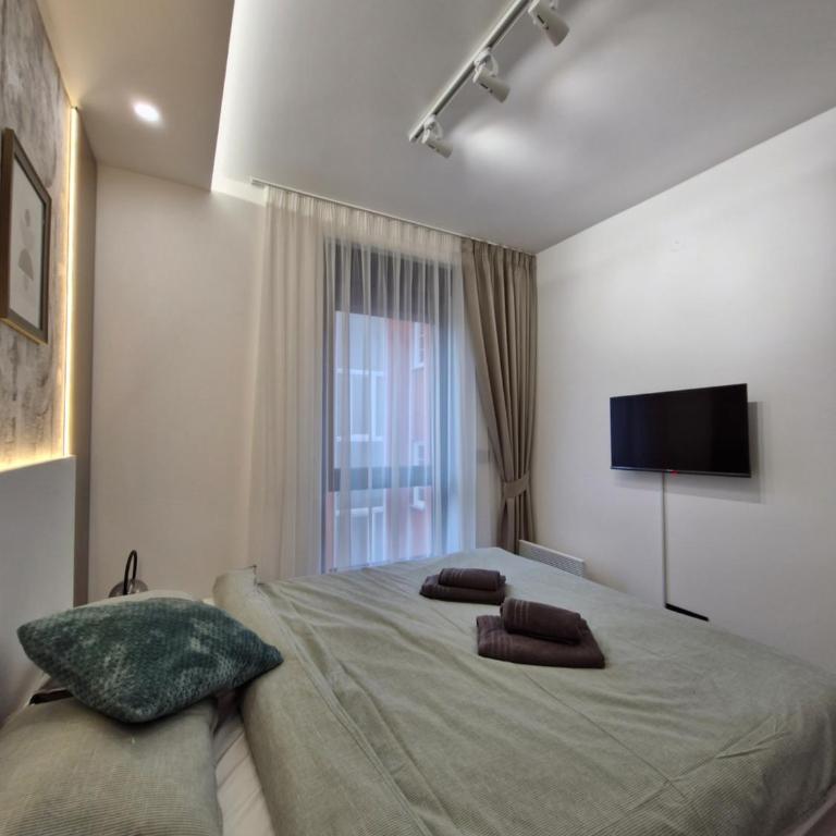 VIRTUS apartmani Vrnjačka Banja centar - Apartman s 1 Spavaćom Sobom i Terasom - 21