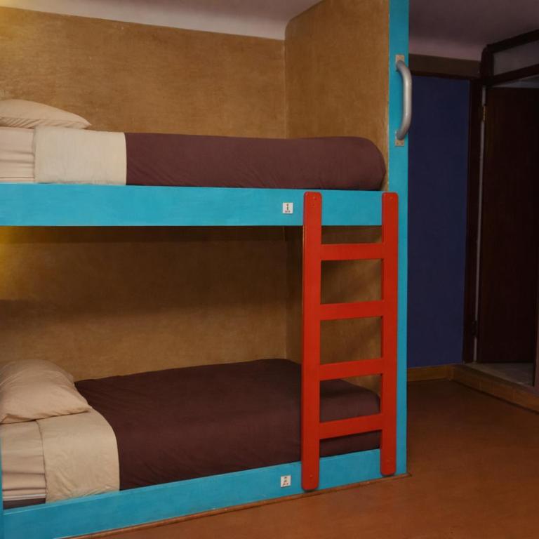 Wild Rover Cusco - Cápsula Deluxe en habitación compartida con 4 camas y baño privado - 1
