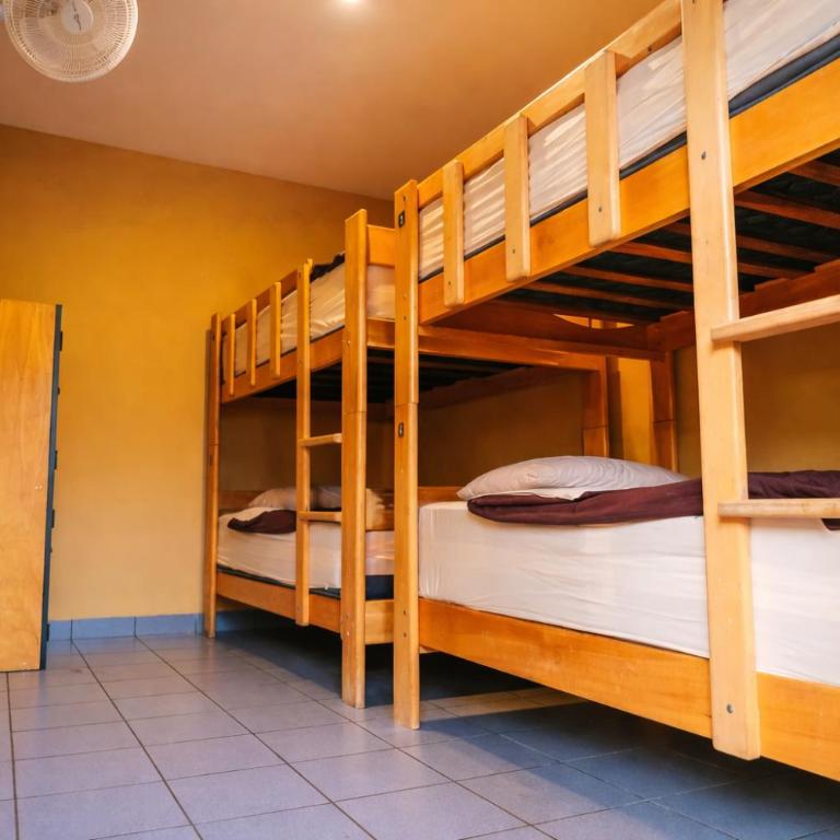 Wild Rover Huacachina - Bed in 4-Bed Mixed Dormitory Room - 2