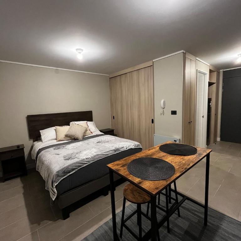 Icono Studio Moderno y céntrico, incluye parking - Apartamento de 1 dormitorio - 12