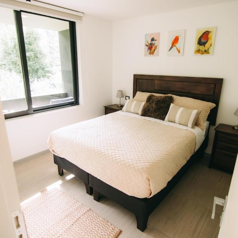 Escapada para dos en Pucón, bosque nativo - One-Bedroom Apartment - 2