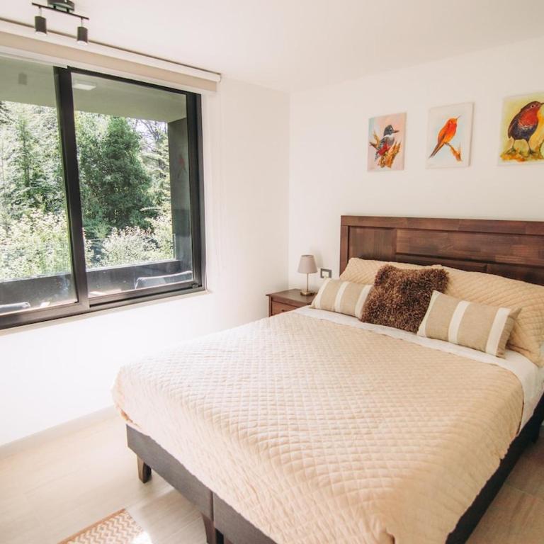 Escapada para dos en Pucón, bosque nativo - One-Bedroom Apartment - 13