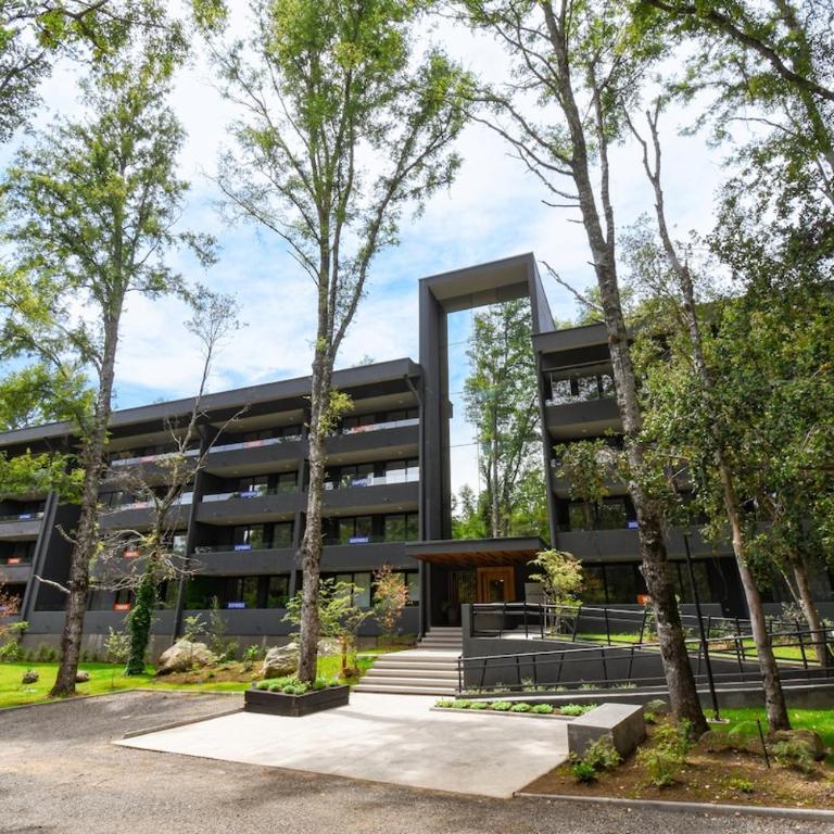 Escapada para dos en Pucón, bosque nativo - One-Bedroom Apartment - 20