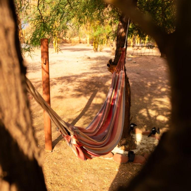 Hostel Qiru Atacama - Single Bed in Dormitory Room - 11