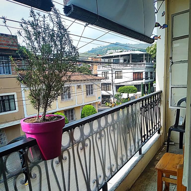 Posada Entre Dos Mundos - Twin Room with Balcony - 2