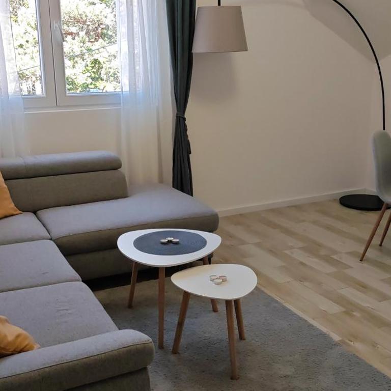 Apartman Sofijin kutak - Apartman sa 1 Spavaćom Sobom - 10