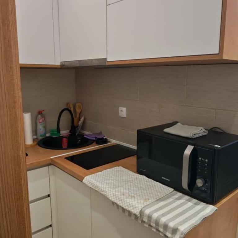 Apartman Sofijin kutak - Apartman sa 1 Spavaćom Sobom - 22