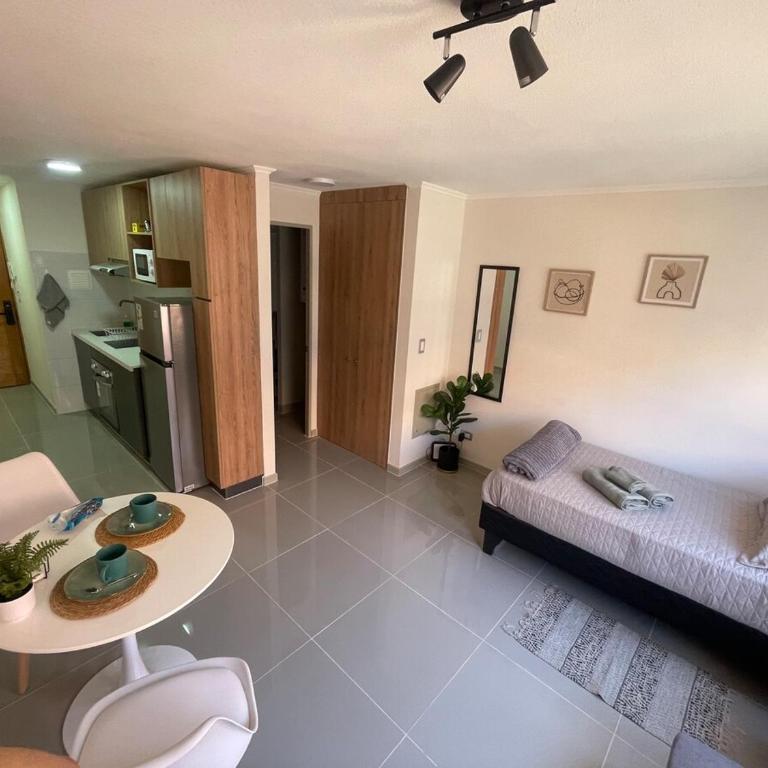 Departamento Studio cerca metro Santa Ana - Two-Bedroom Apartment - 7