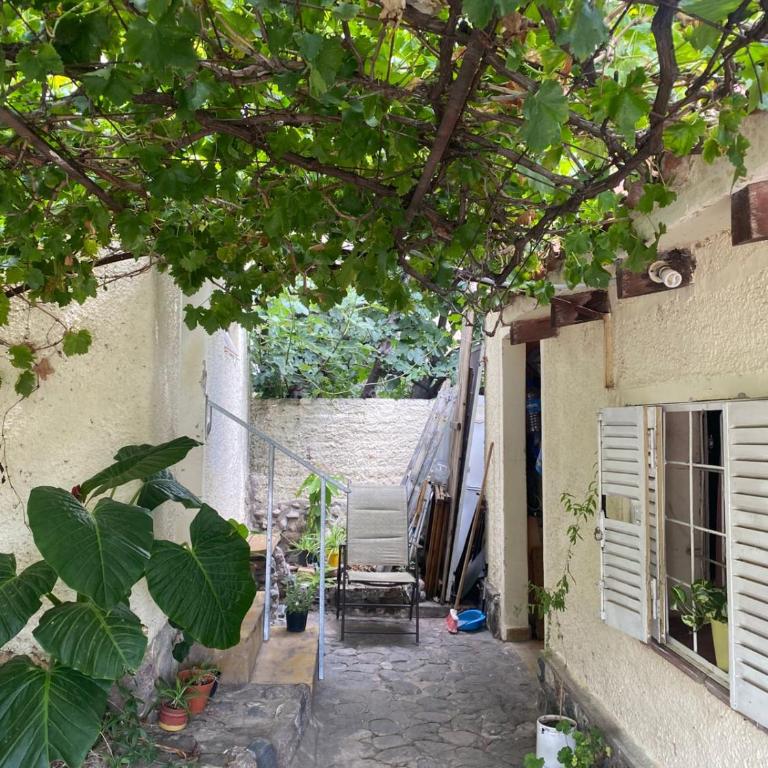 Casitadelavid - One-Bedroom Apartment - 6
