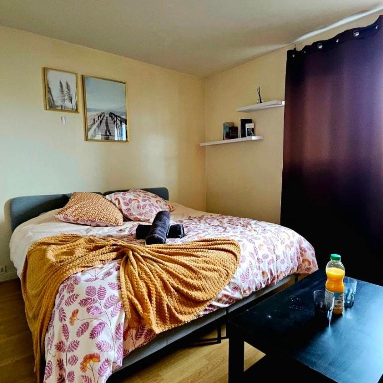 Studio Cosy a Paris Proche de la Tour Eiffel - Appartement - 4