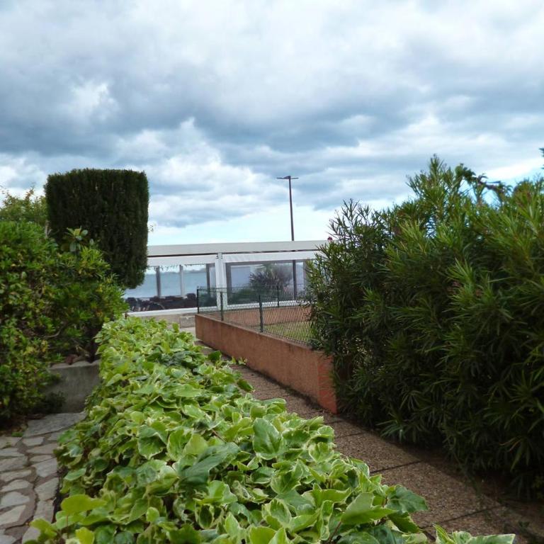 T2 charmant près de l'Étang de Thau - 2 pers. - FR-1-571-74 - Appartement - 10