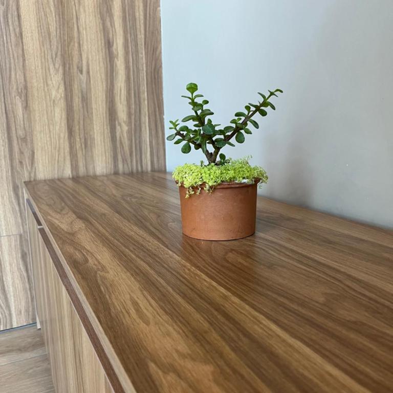 Bonito alojamiento en Margot a una cuadra de Expo Gdl - World Cup visitors welcome - Two-Bedroom Apartment - 12