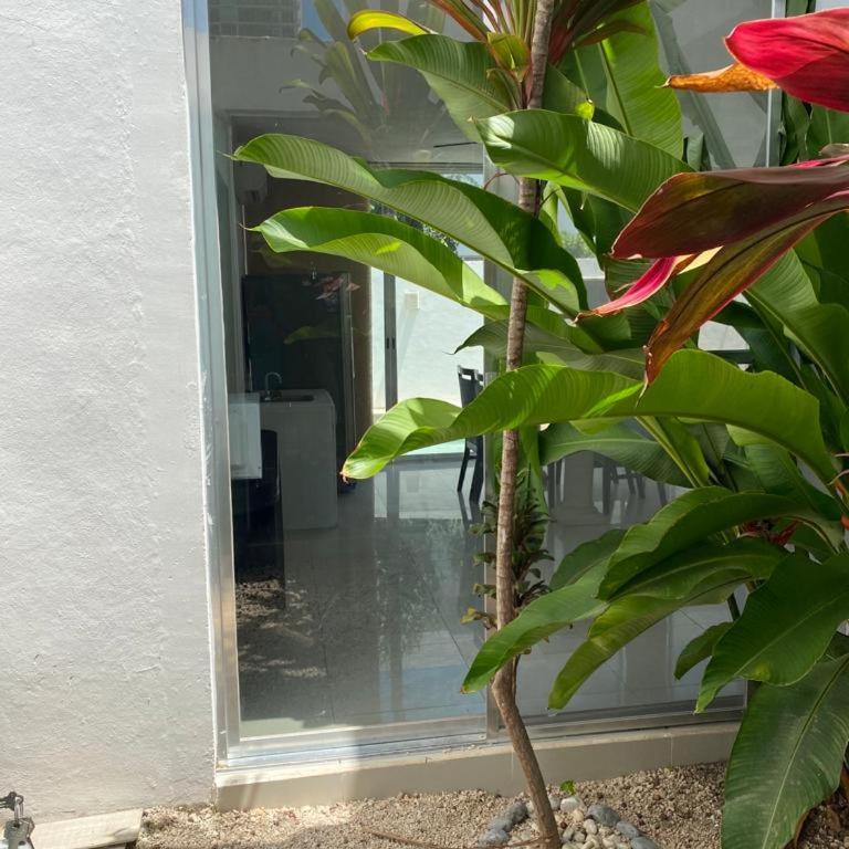 Departamento amueblado en altabrisa - One-Bedroom Apartment - 2