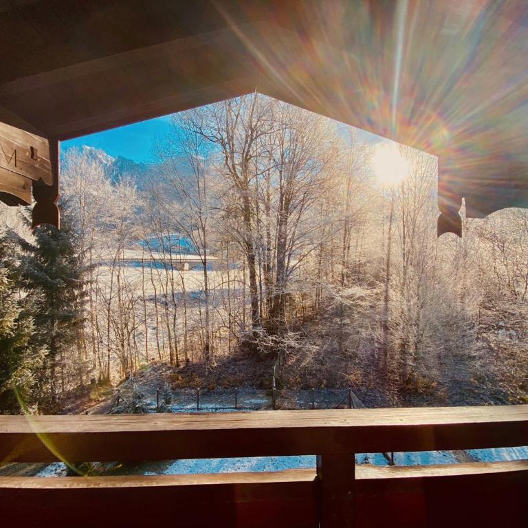FeWo Schneewinkllehen - Apartamento con vistas a las montañas - 4