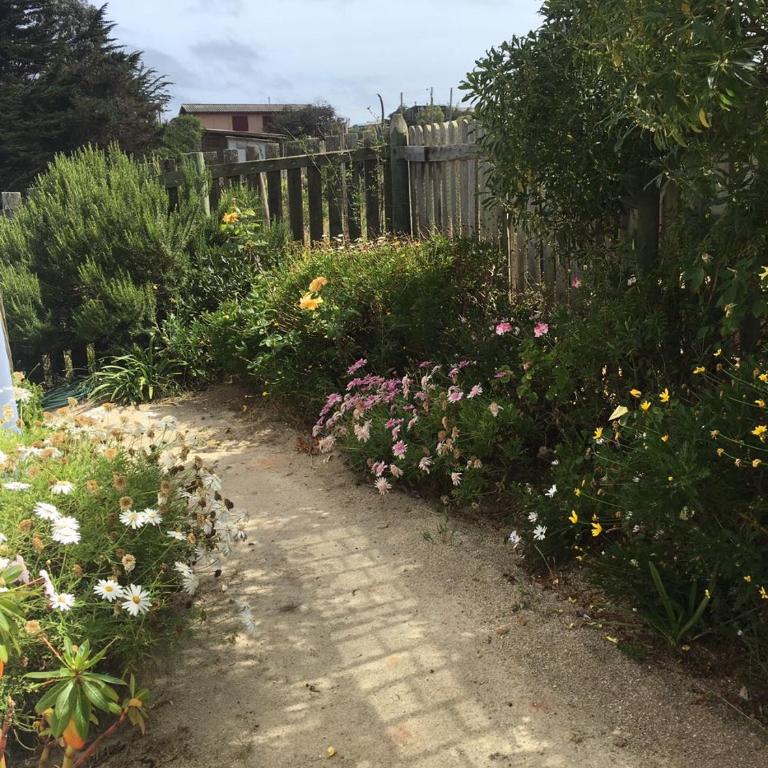 Casa Pichilemu - Casa - 20