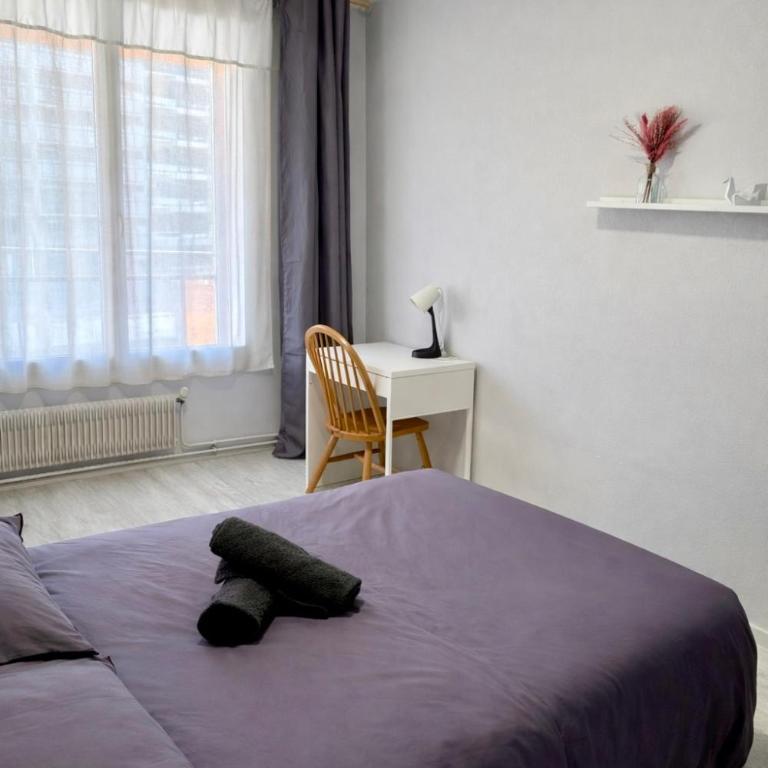 Hyper centre Appartement 2 chambres avec parking - Appartement 2 Chambres - 9