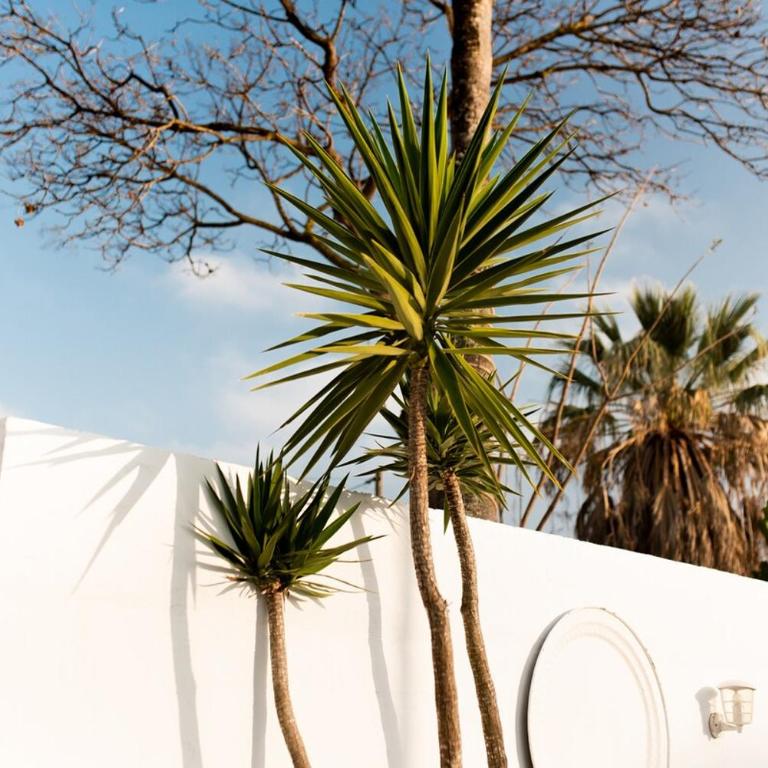 Moderno Lujo y Relax cerca de la playa de la barrosa - Casa de 2 dormitorios - 39