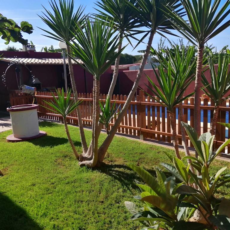 Casa con piscina solo aceptamos familias y parejas no grupos jovenes - Casa - 12