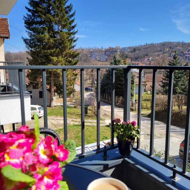 Apartmani Dragulji Vrnjačka Banja, Parking uključen, centar na 5 min - One-Bedroom Apartment - 17