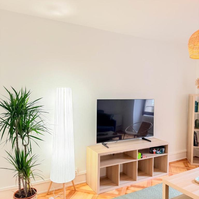 Central Geneva Cozy Apartment - Appartement 1 Chambre - 5