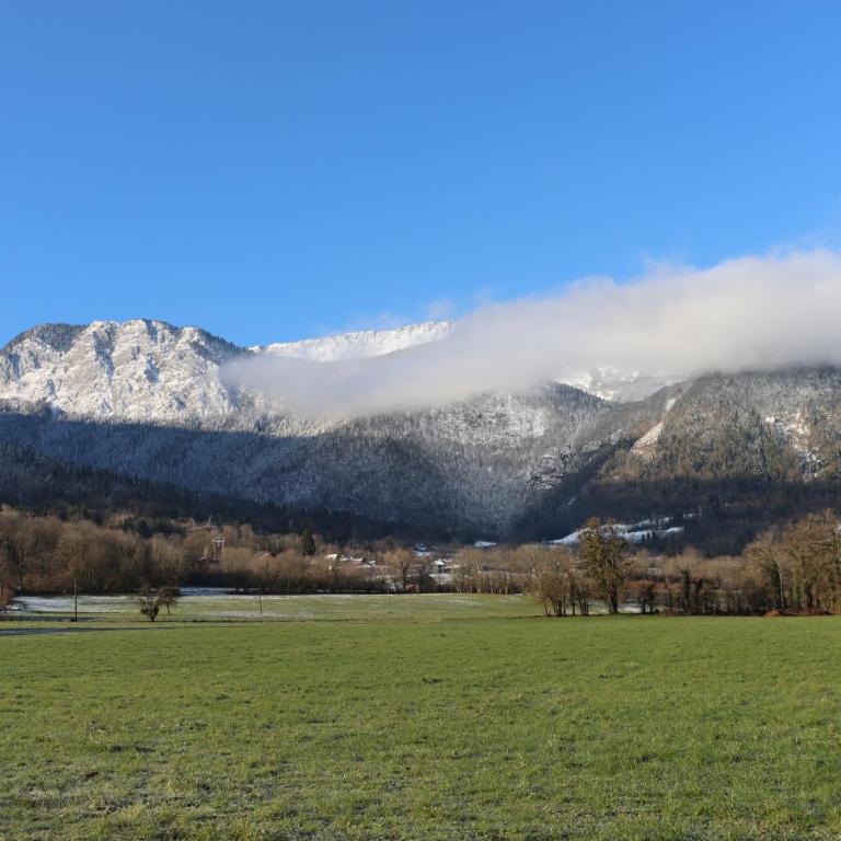 Appartement T3 classé trois étoiles au calme de plain-pied au centre Doussard avec vue sur montagne, lac Annecy à proximité - Two-Bedroom Apartment with Terrace - 38