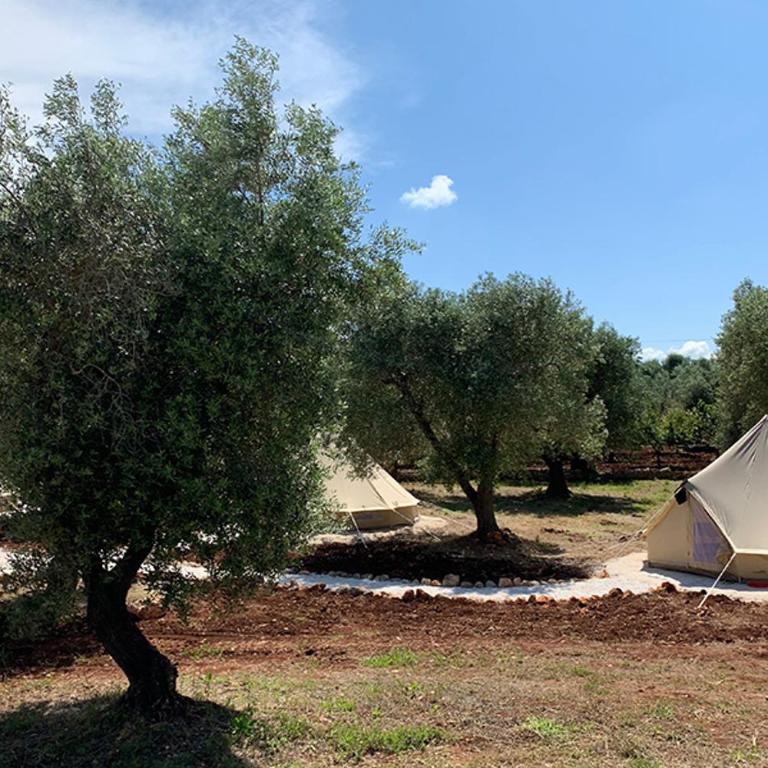 Trulli Paradise Ostuni - Villa Privata con Piscina - Villa con Piscina Privata - 76