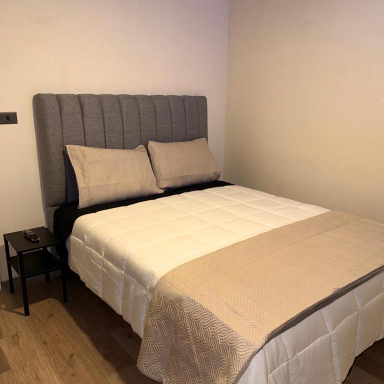 Departamento con estacionamiento incluido, Ideal para ir de compras y conectar con puntos turísticos - Two-Bedroom Deluxe Apartment with Balcony - 17