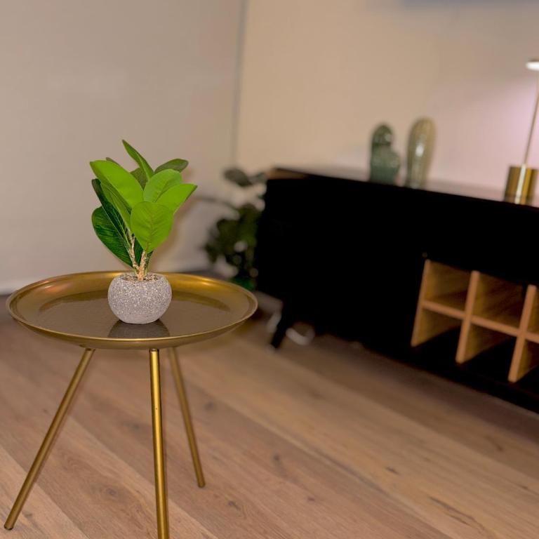 Departamento con estacionamiento incluido, Ideal para ir de compras y conectar con puntos turísticos - Two-Bedroom Deluxe Apartment with Balcony - 8