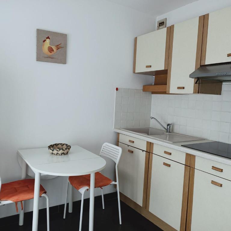 T1 lumineux avec terrasse et parking privé à Aix-les-Bains - FR-1-555-70 - Studio - 15