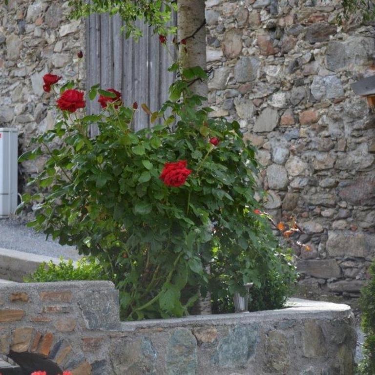 Haus Romantica - Apartment mit 2 Schlafzimmern und Terrasse - 17