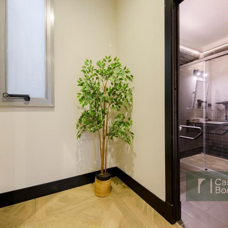 Tu Casa Bonita en Hernán Cortés - One-Bedroom Apartment - 8