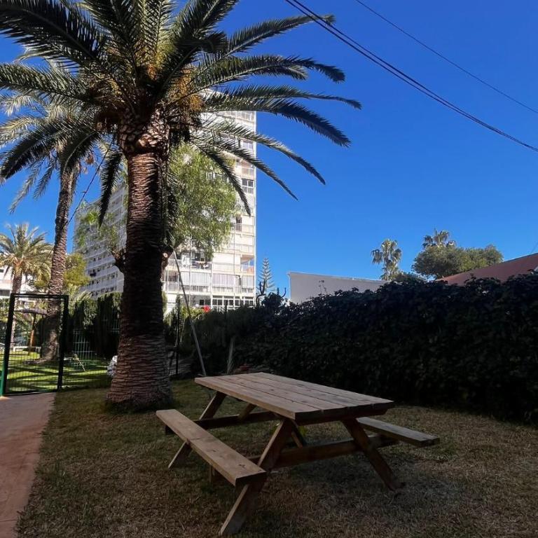 Estudio Condomina Playa San Juan - One-Bedroom Apartment - 10
