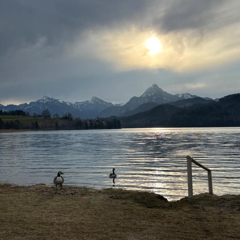Landhaus am Weissensee - Apartment mit 3 Schlafzimmern - 13