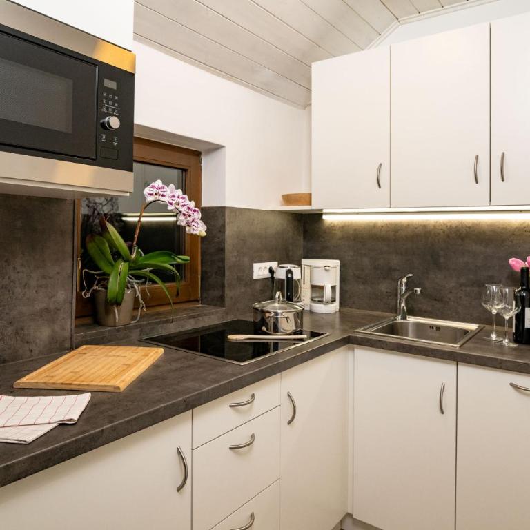 Residence Lärchenhäusl - Two-Bedroom Apartment with Terrace - 1