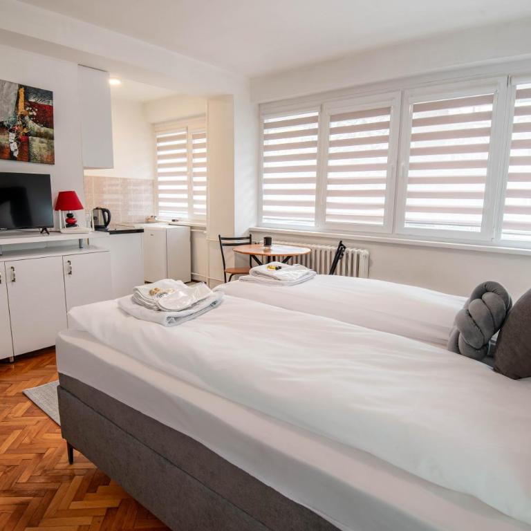 City Pulse Studio 22 - Central Skenderija - Apartman sa 1 Spavaćom Sobom - 9