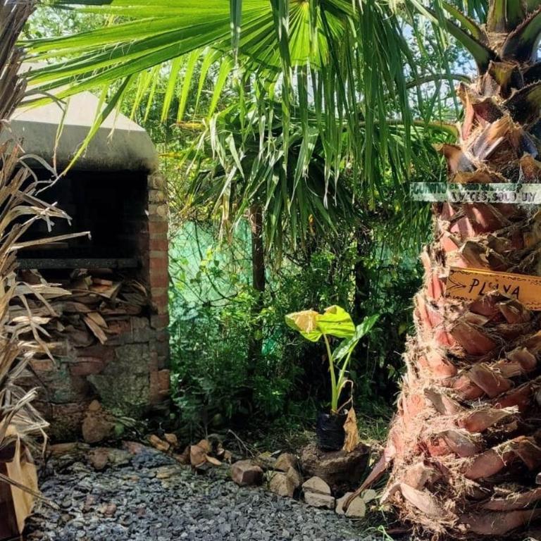 La Casita de Eva - Apartamento de 1 dormitorio - 23