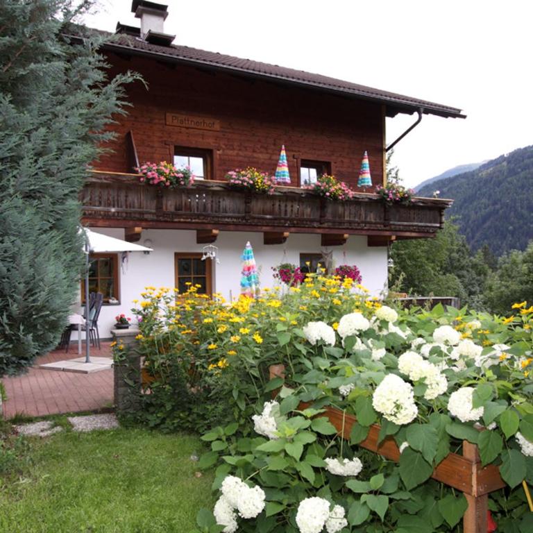 Plattnerhof - Apartment mit 2 Schlafzimmern und Terrasse - 1