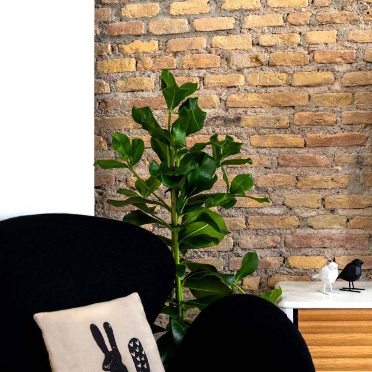 Colosseum - Diana's Design Apartment - Appartamento con 2 Camere da Letto - 15