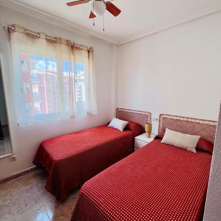 Apartamento Capri - Apartamento de 2 dormitorios - 17