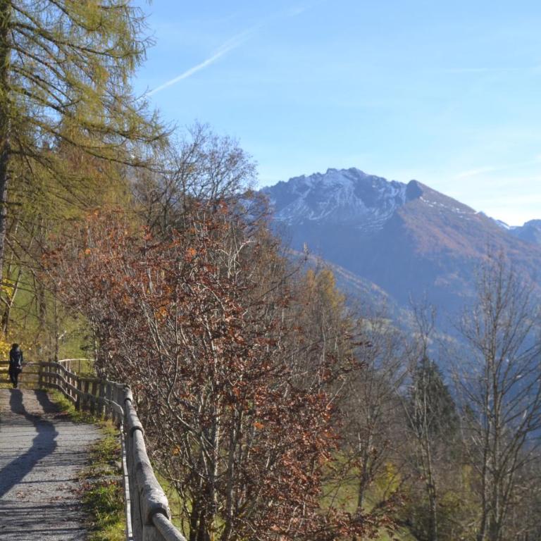 AlpenglueckGastein - Private mountain lodge - Apartment - auf 2 Etagen - 37