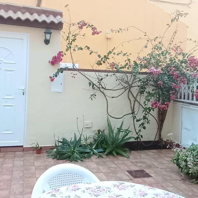 Mar Azul Primera línea de mar, casa privada con patio y solarium "La Bugamvulla" - Casa de 2 dormitorios - 11