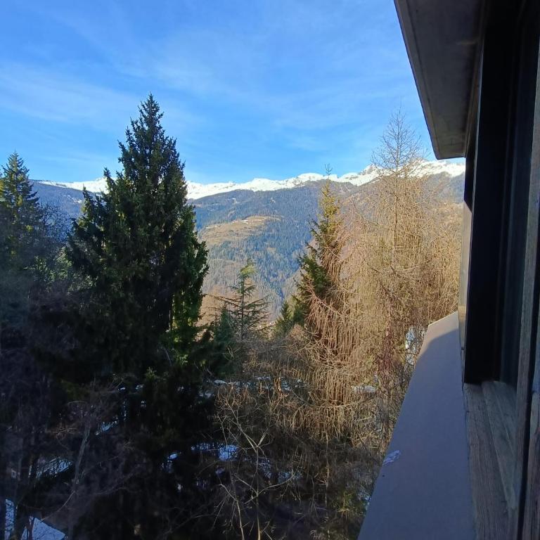 Marilleva 1400 - Alpine Apartment - Apartment mit 3 Schlafzimmern - 3
