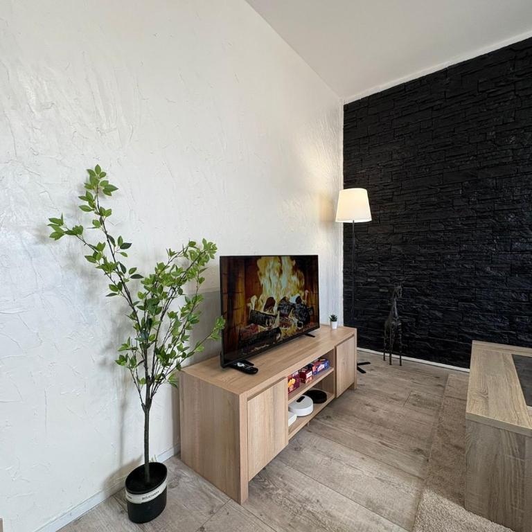 Appartement Spacieux et Balcon Vieille Levée - Apartamento de 1 dormitorio - 5