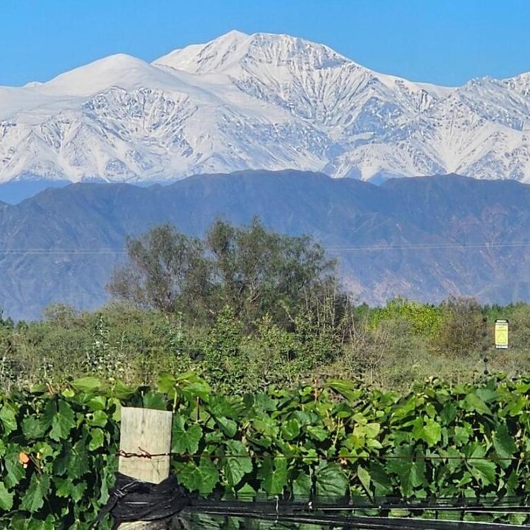 Cabin Vineyard Retreat - Suite con vistas a la montaña - 10
